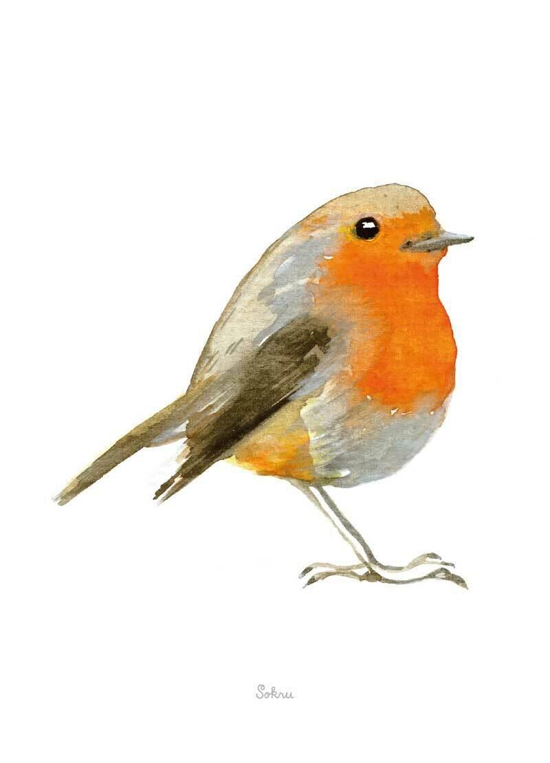 Punarinta Postikortti