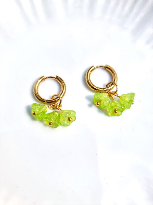 Blooming Sorbet, Lime 14k kullattu Korvakorut