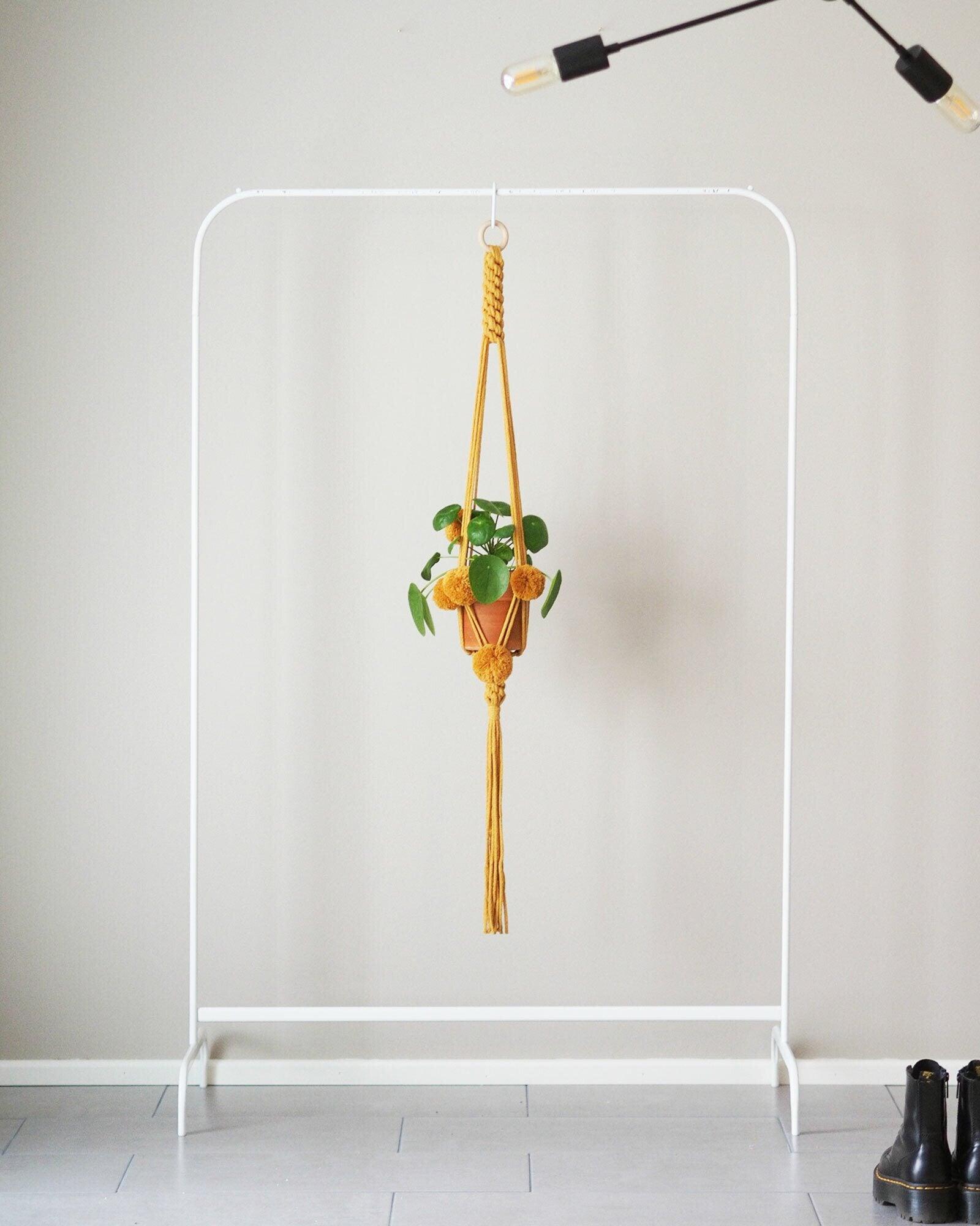 Hilla Amppeli, Yellow