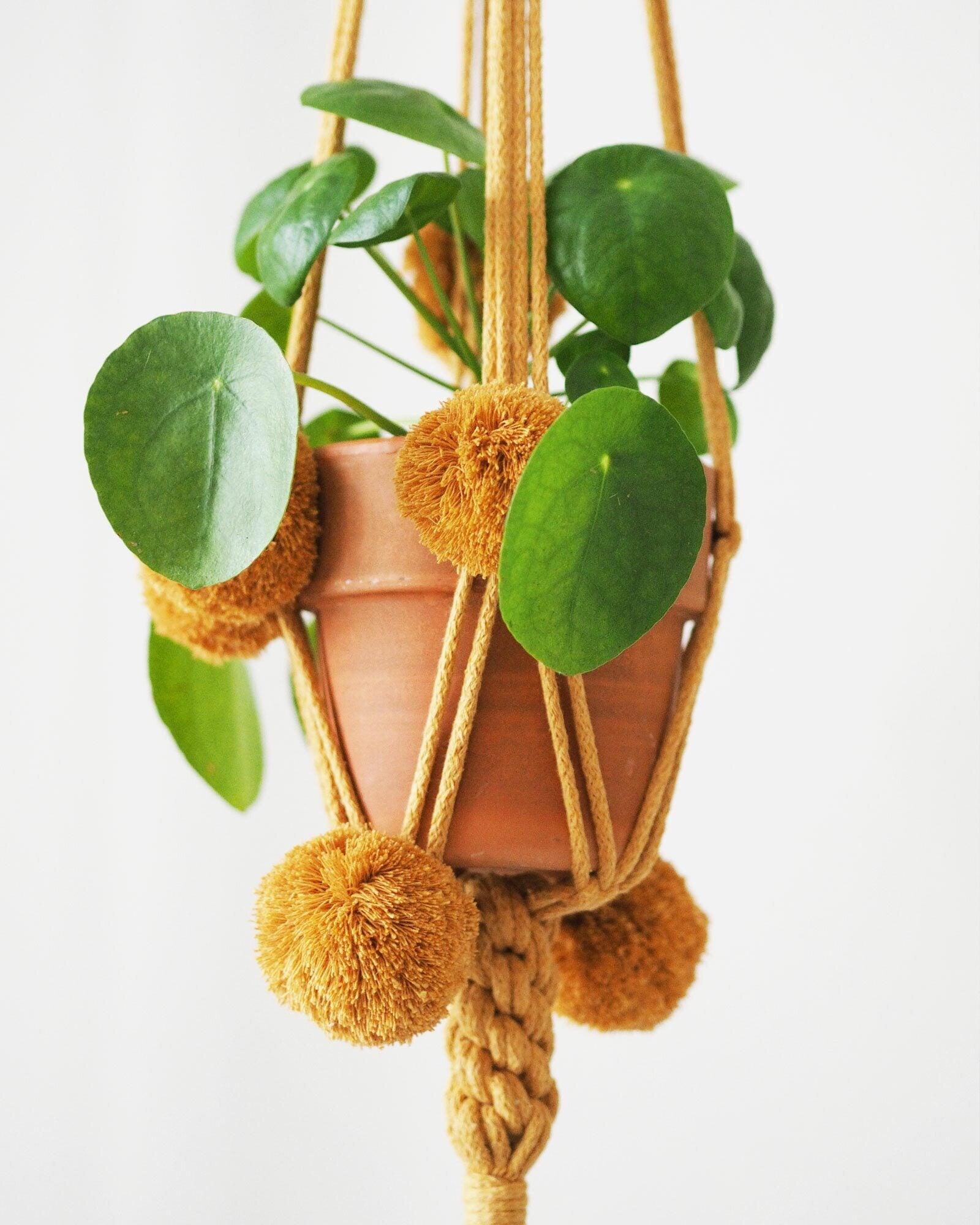 Hilla Amppeli, Yellow