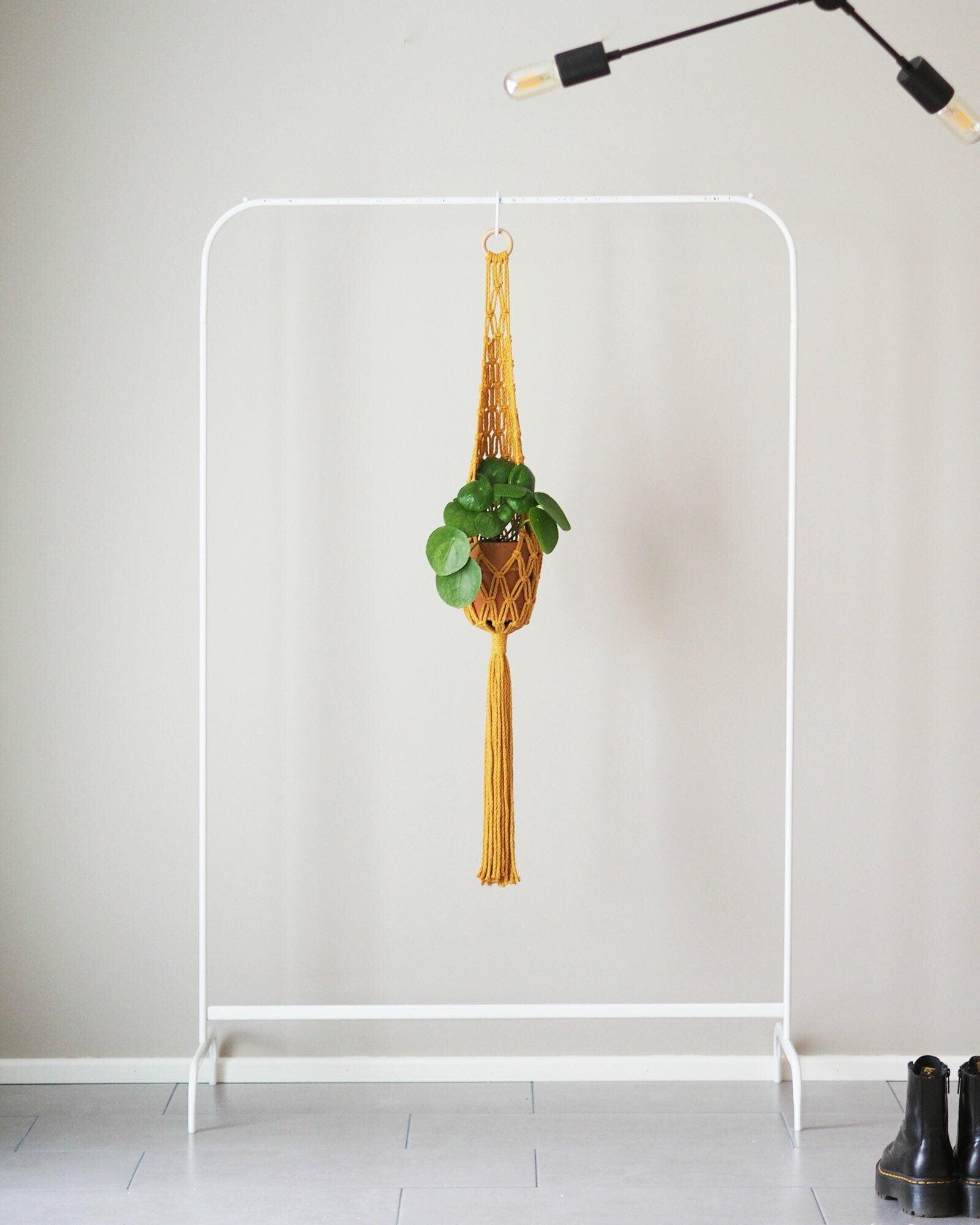 Nuotta Amppeli, Yellow