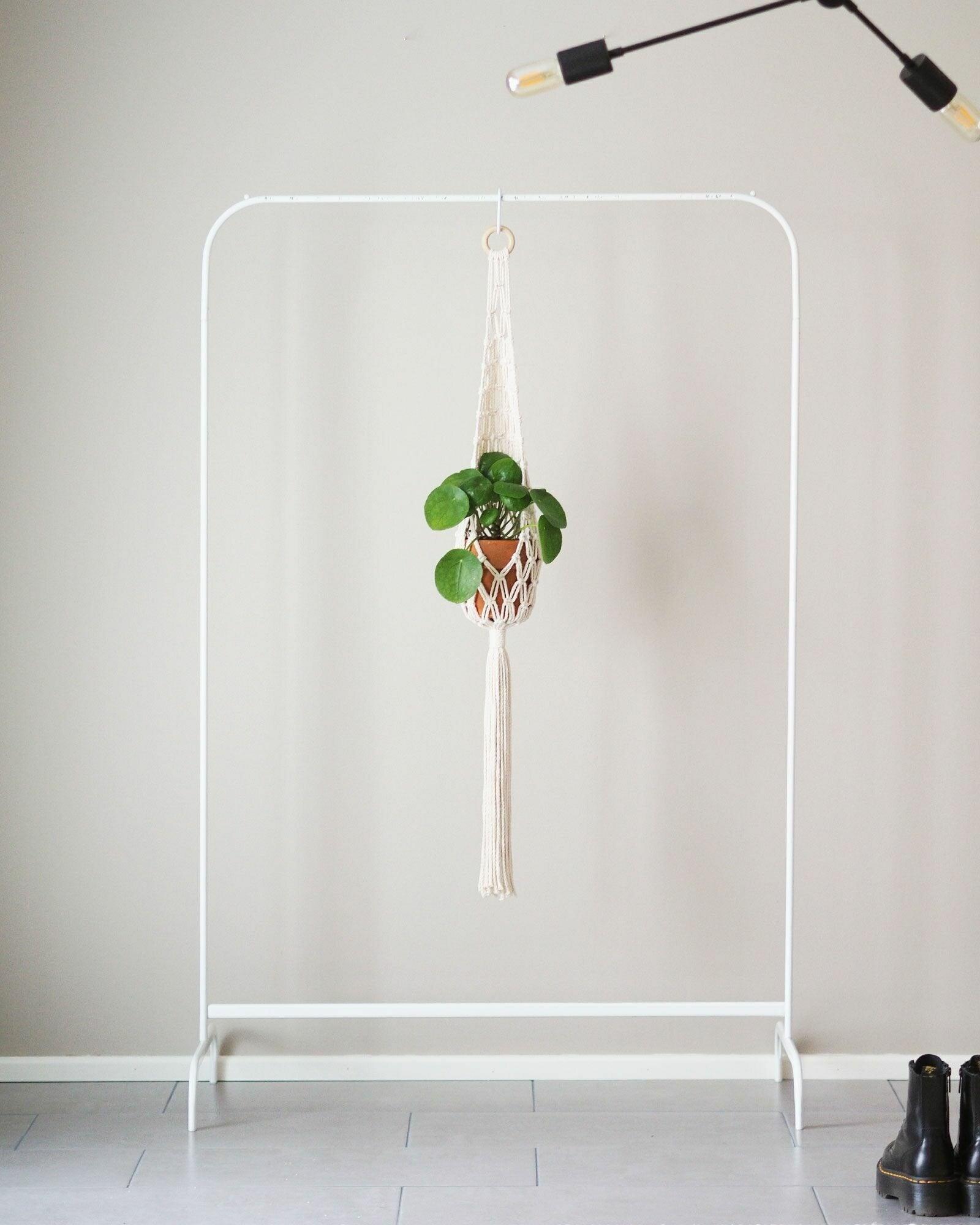 Nuotta Amppeli, Natural white