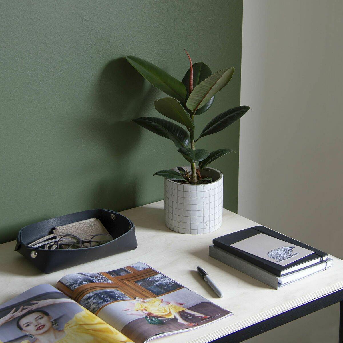 Rove säilytin, musta