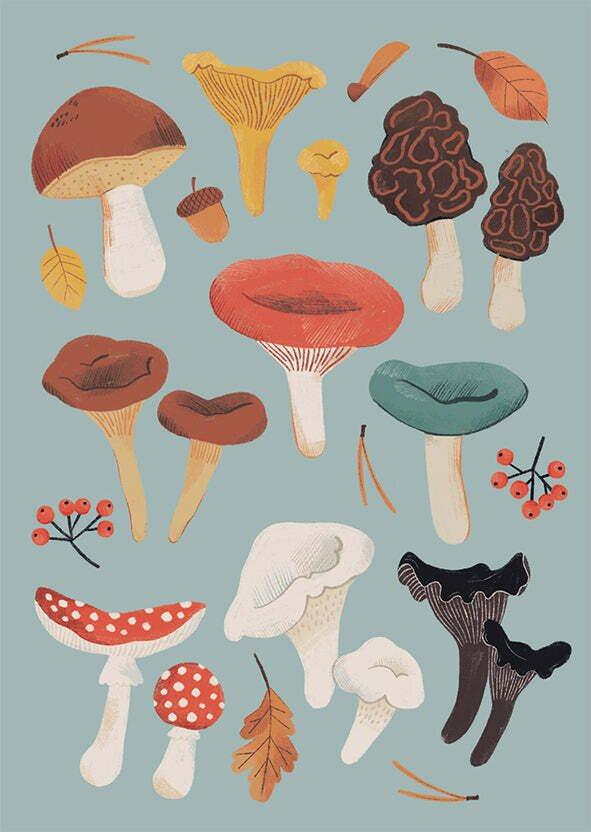 Kaisu Sandberg, Sienet