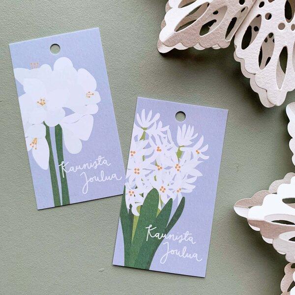 Hyasintti & amaryllis - pakettikorttisetti