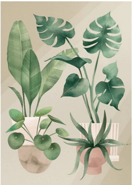 Aamuauringossa -postikortti