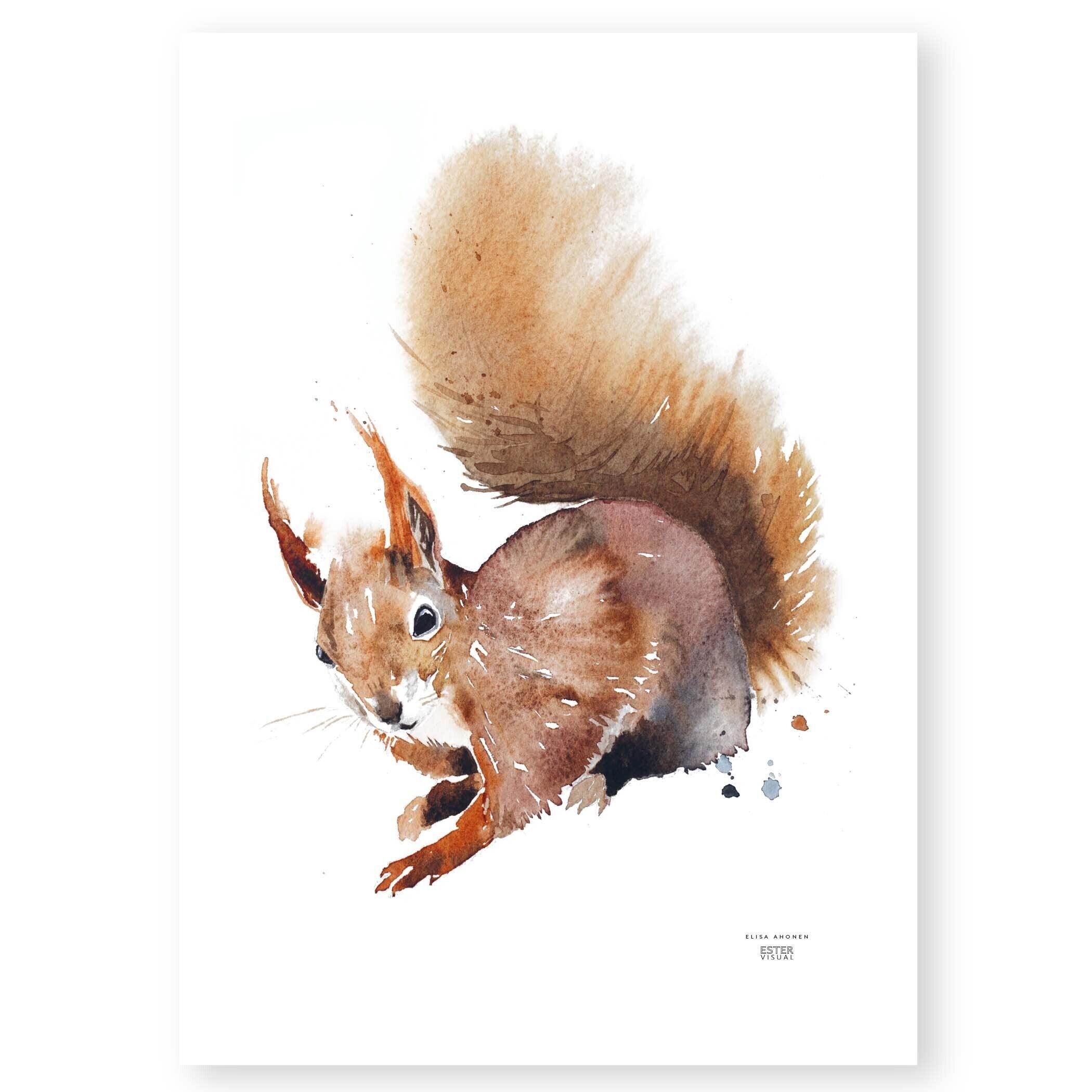 Squirrel Poster