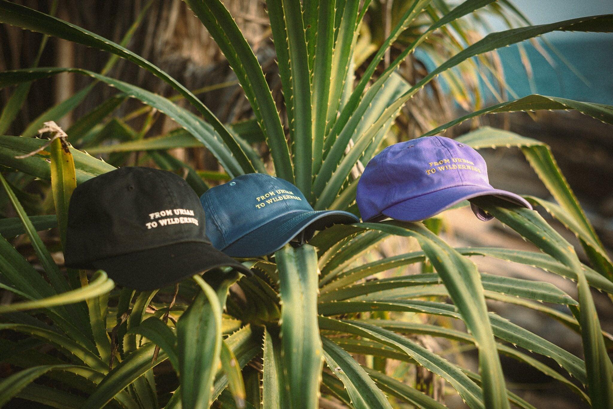 From Urban To Wilderness, Elemental Blue