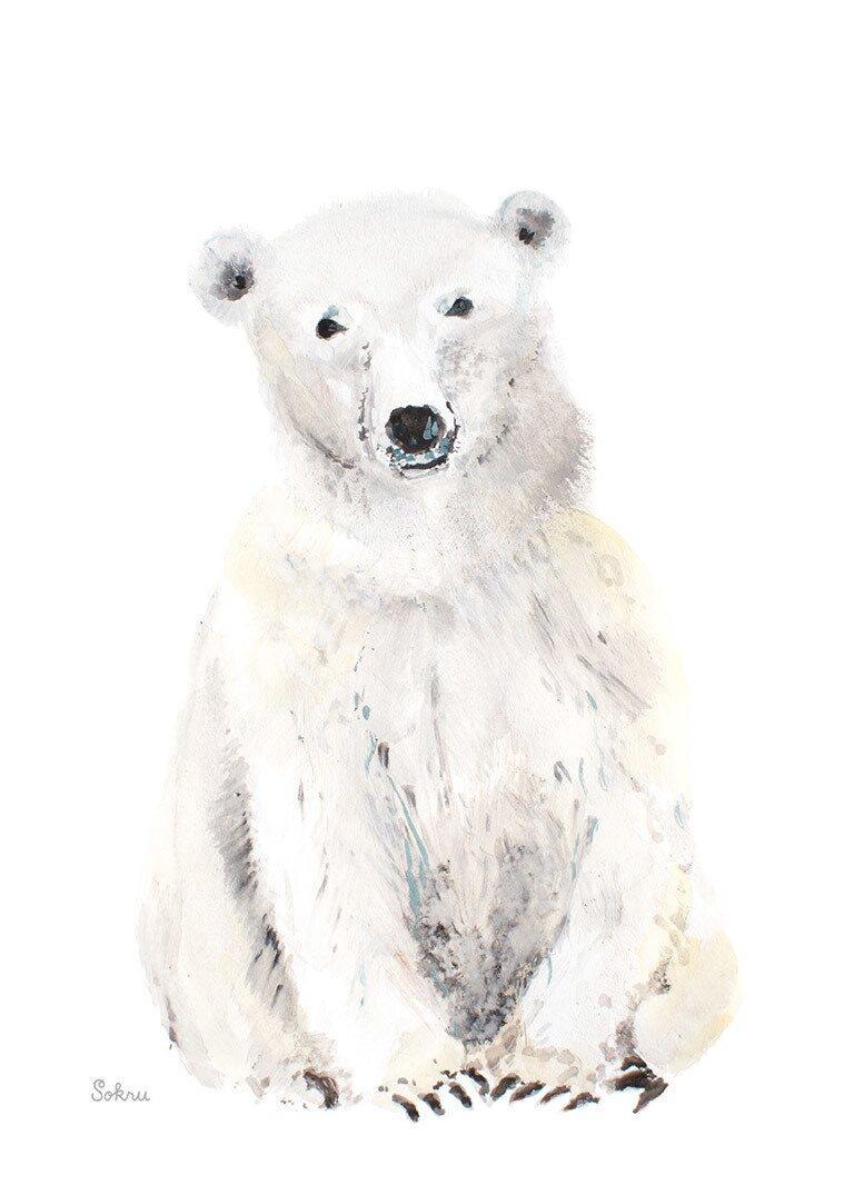 Polar bear Postcard
