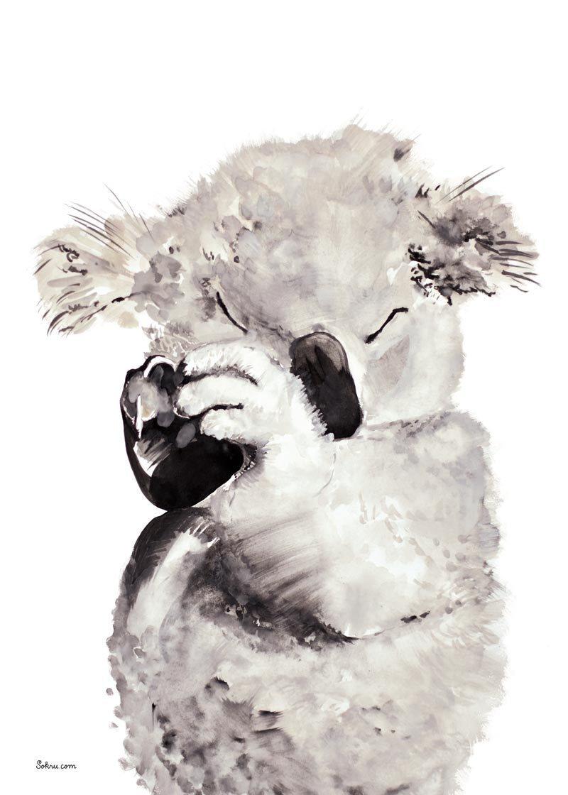 Koala Postikortti