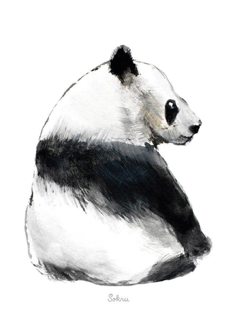 Panda Postcard