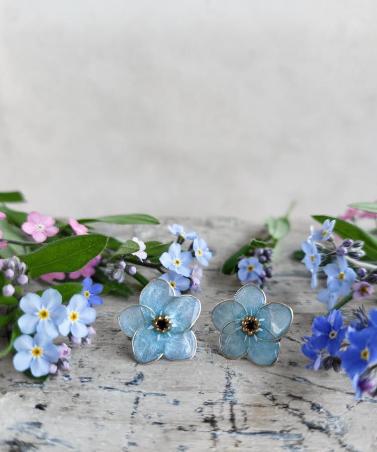 Myosotis Korvakorut