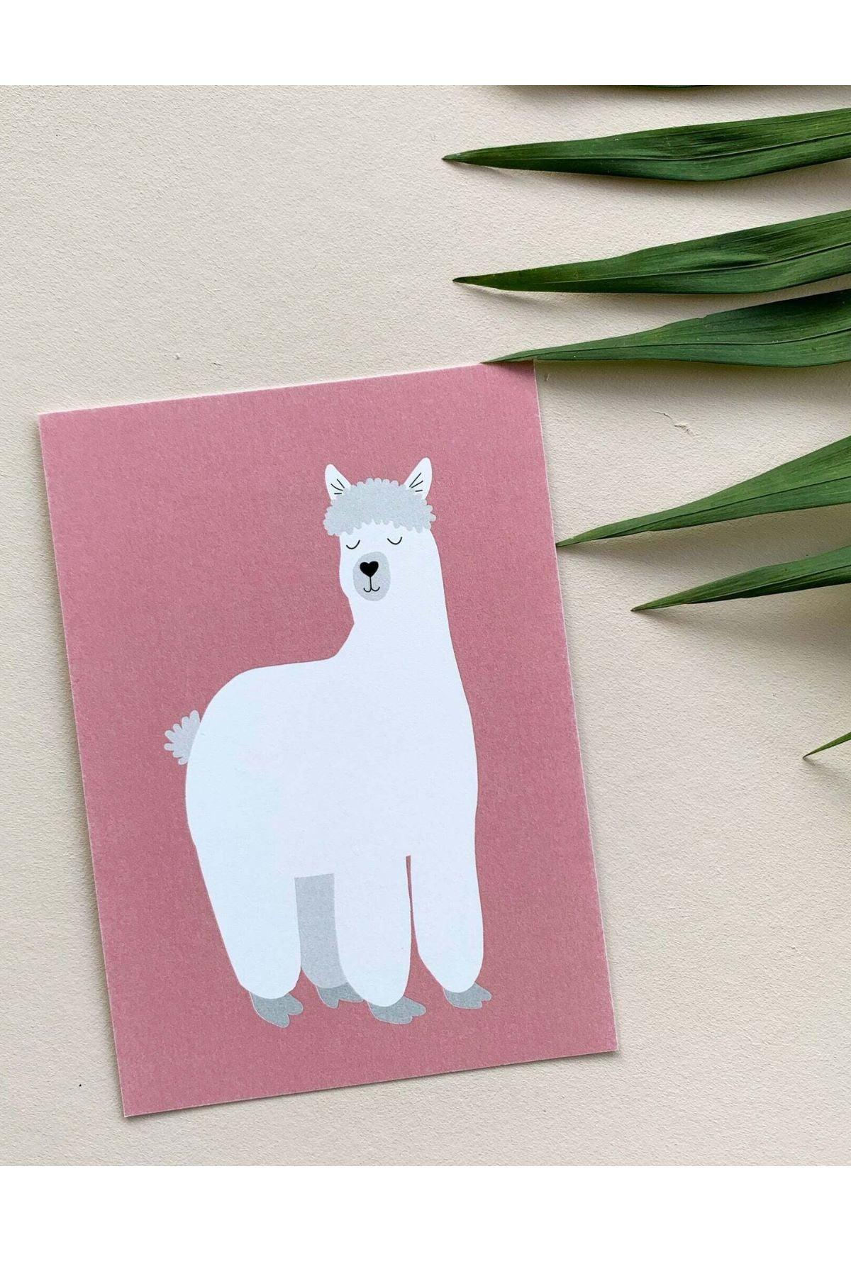 Alpakka - postikortti