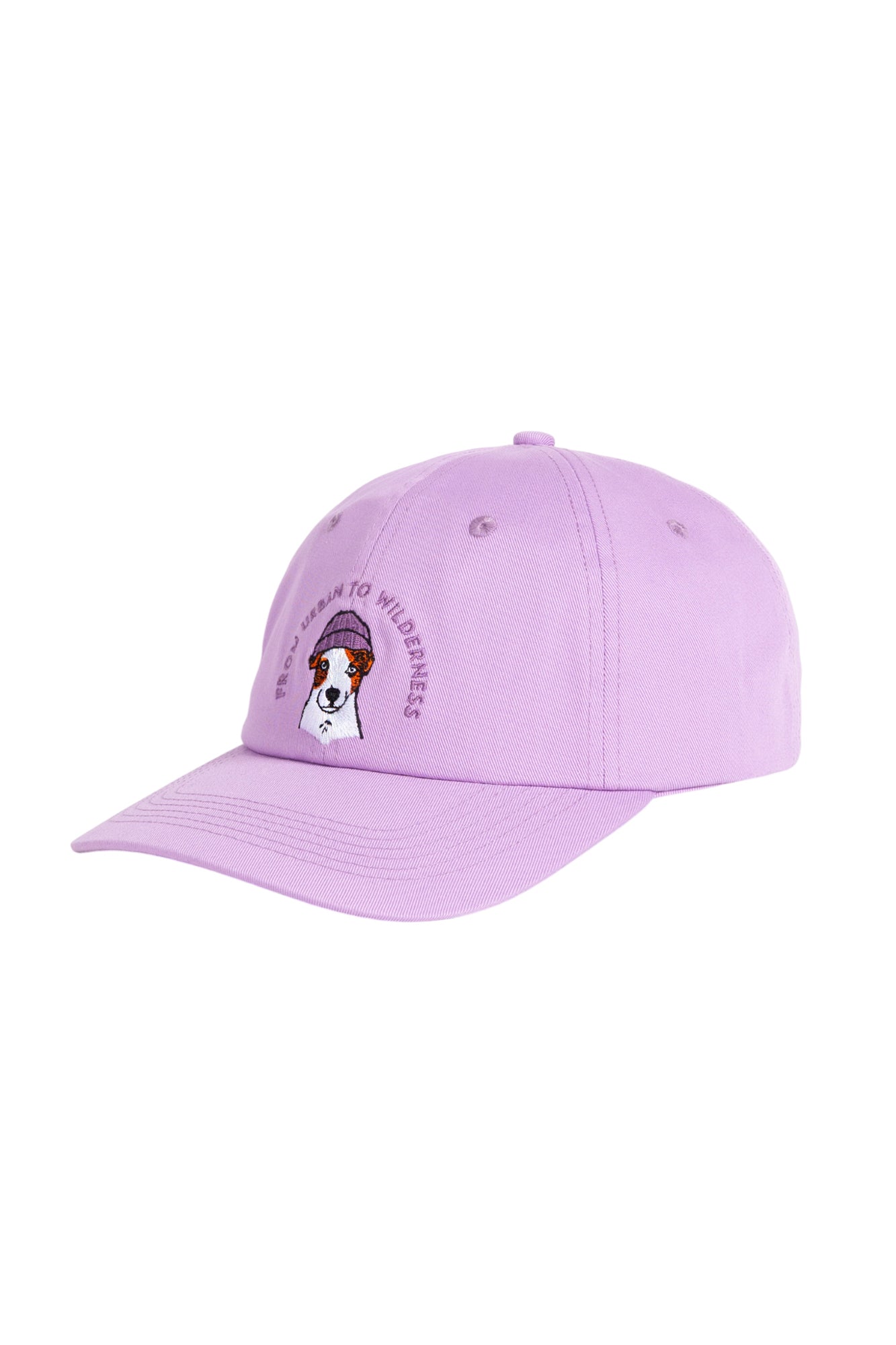 Boss Dog Lippis