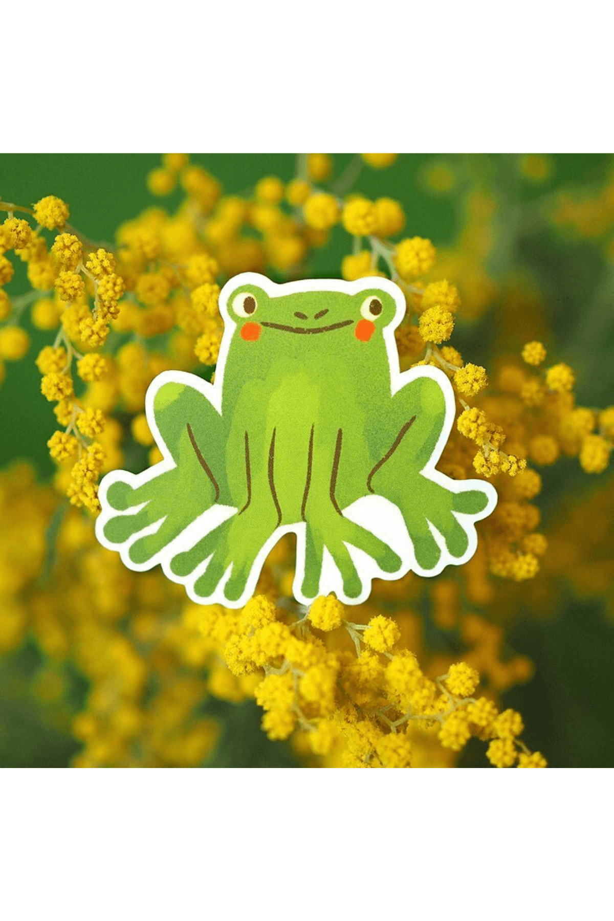 Frog Sitting Sticker