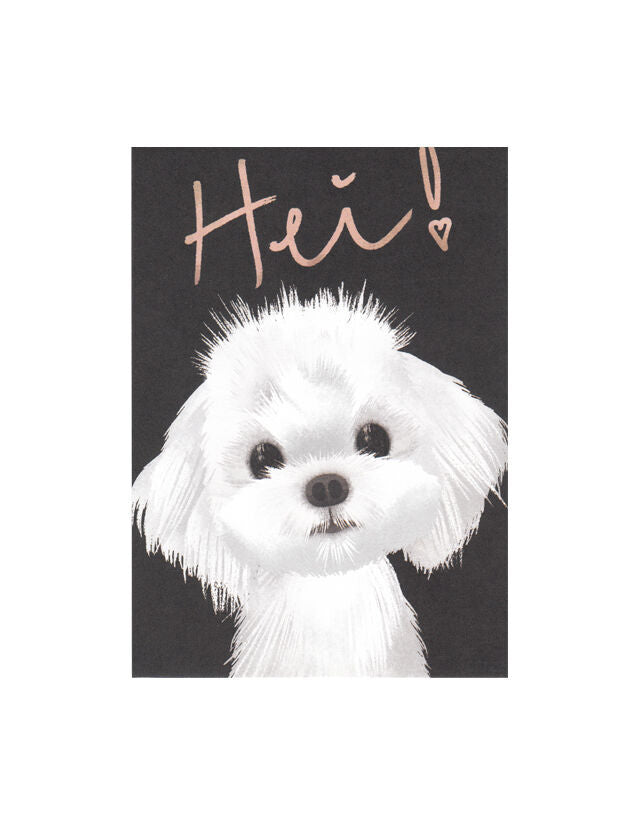 Hei sinä siellä! (koira) -postikortti