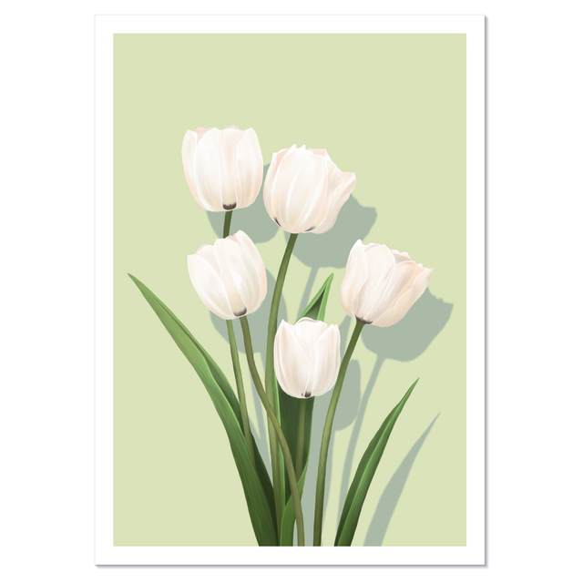 Tulipa Postikortti