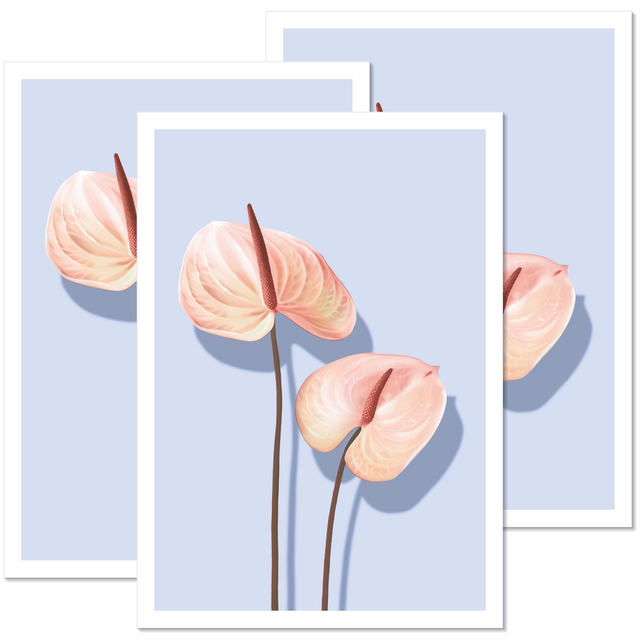 Anthurium Postikortti