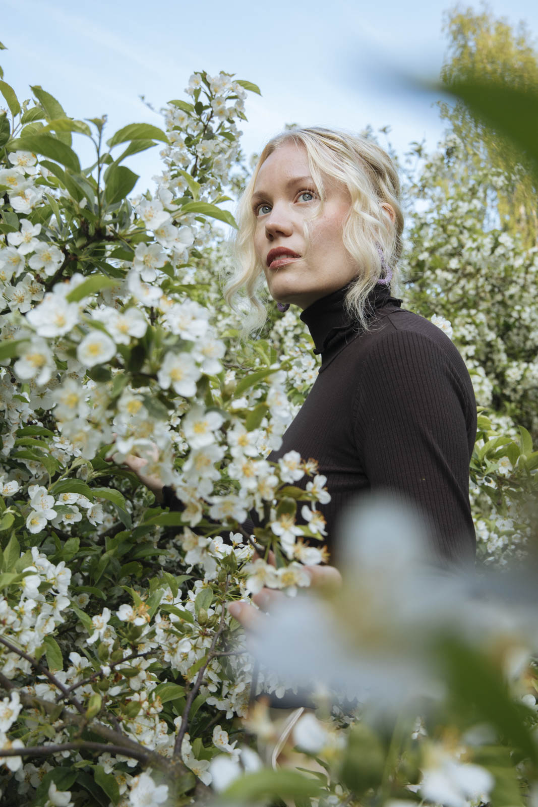 Rib Rollneck, Chocolate