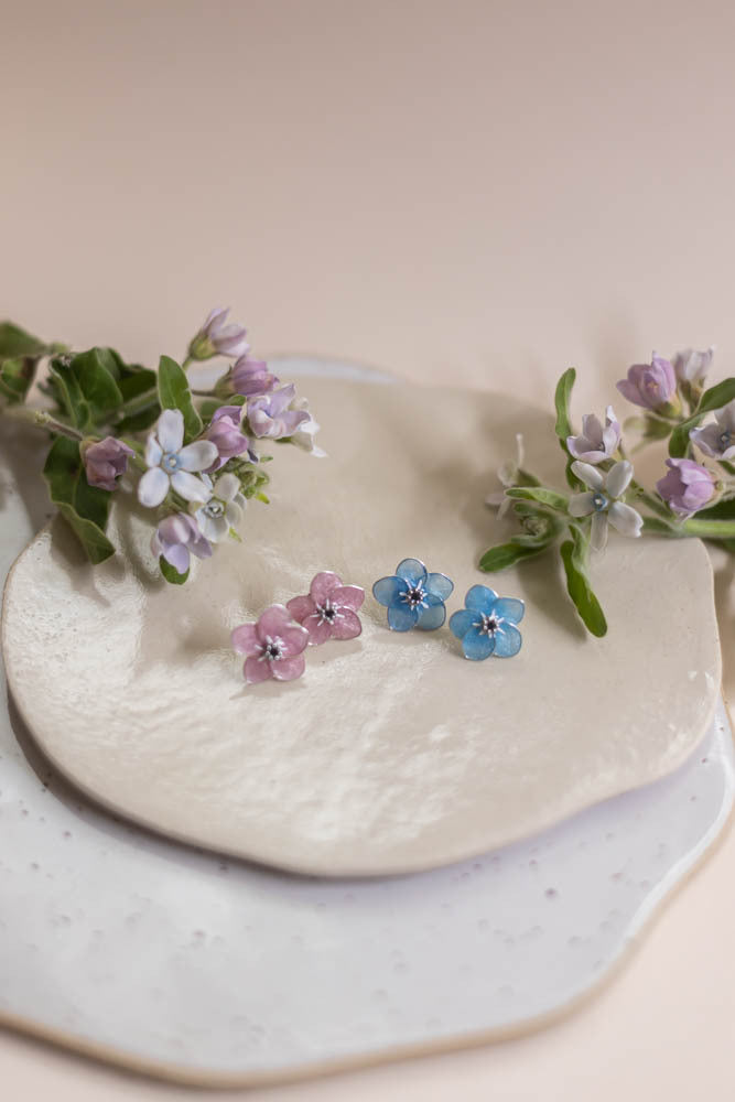 Myosotis Korvakorut