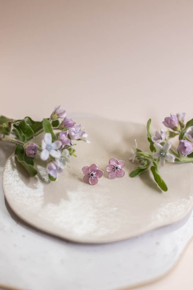 Myosotis Korvakorut