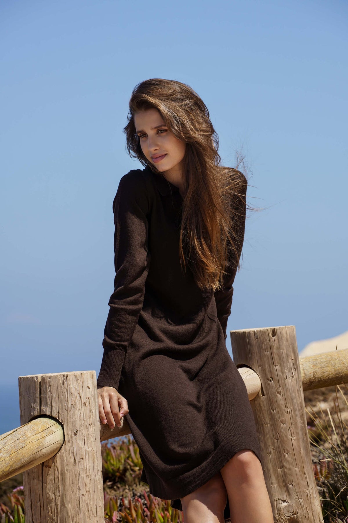 Millie Dress, Espresso