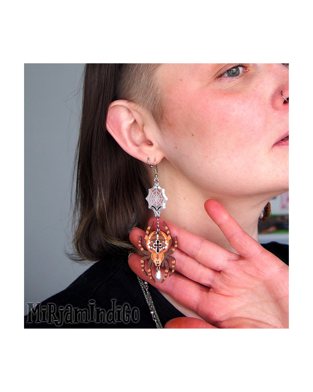 Orgulous Orbweaver vanerikorvakorut