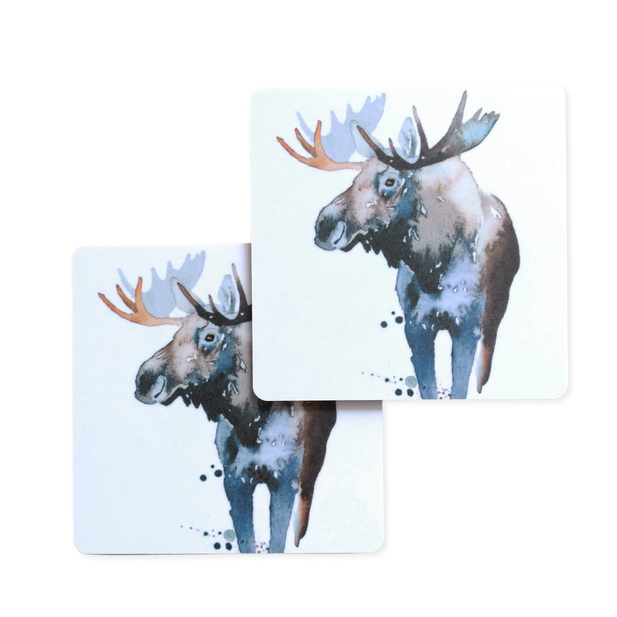 Ester Visual Lasinaluset, 2-Pack