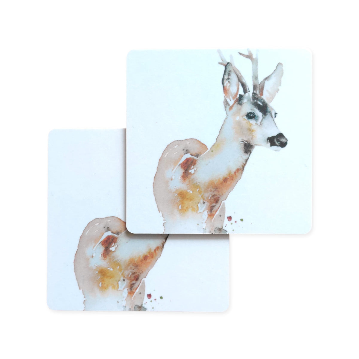 Ester Visual Lasinaluset, 2-Pack