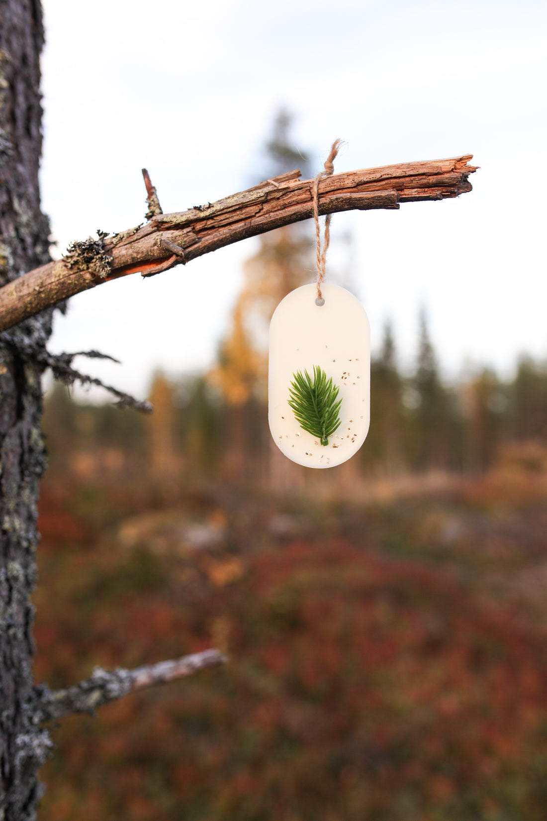 Scent plate, Genuine Spruce