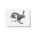 Teemu Järvi Illustrations Forest Greetings Postikortit, ERI MALLEJA Mountain Hare
