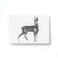 Teemu Järvi Illustrations Forest Greetings Postikortit, ERI MALLEJA Roe Deer