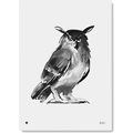 Teemu Järvi Illustrations Forest Greetings Poster 30 x 40 cm, Different Models Eagle Owl