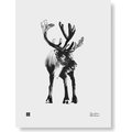 Teemu Järvi Illustrations Forest Greetings Poster 30 x 40 cm, Different Models Reindeer