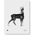 Teemu Järvi Illustrations Forest Greetings Poster 30 x 40 cm, Different Models Roe Deer