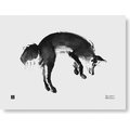 Teemu Järvi Illustrations Forest Greetings Poster 40x30cm, Different Models Leaping Fox
