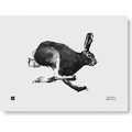 Teemu Järvi Illustrations Forest Greetings Poster 40x30cm, Different Models Mountain Hare