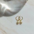 Classic Earrings, Gold Plated Silver Yellow