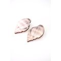 MORICO Sea Shells Earrings Sea Salt