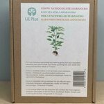 Kasvata Suklaahabanero-chilipuu