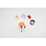 Bloom Design The Bloom Collection Floral sticker pack