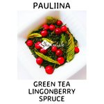 PAULIINA green tea, Lingonberry & Spruce 20g