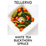 TELLERVO white tea, Buckthorn & Spruce