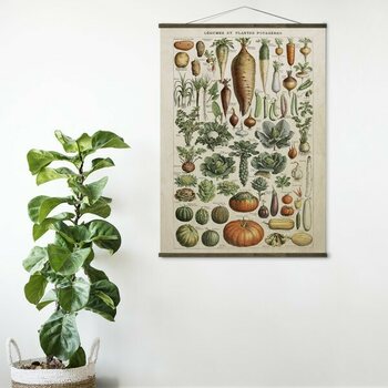Plywood Print Legumes 30 x 40 cm