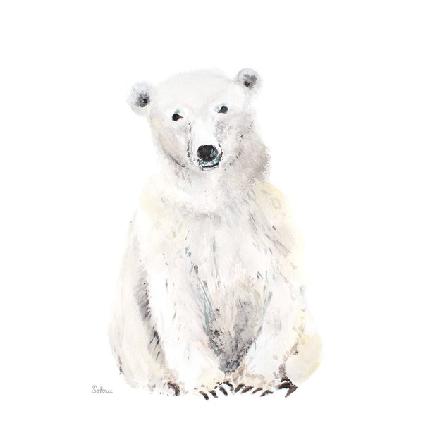Sokru Polar Bear Postcard