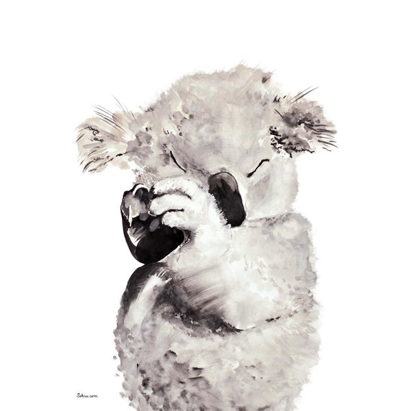 Sokru Koala Postcard