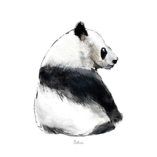 Sokru Panda Postcard